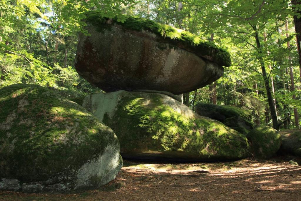 Pension Bergstub'N Saldenburg エクステリア 写真